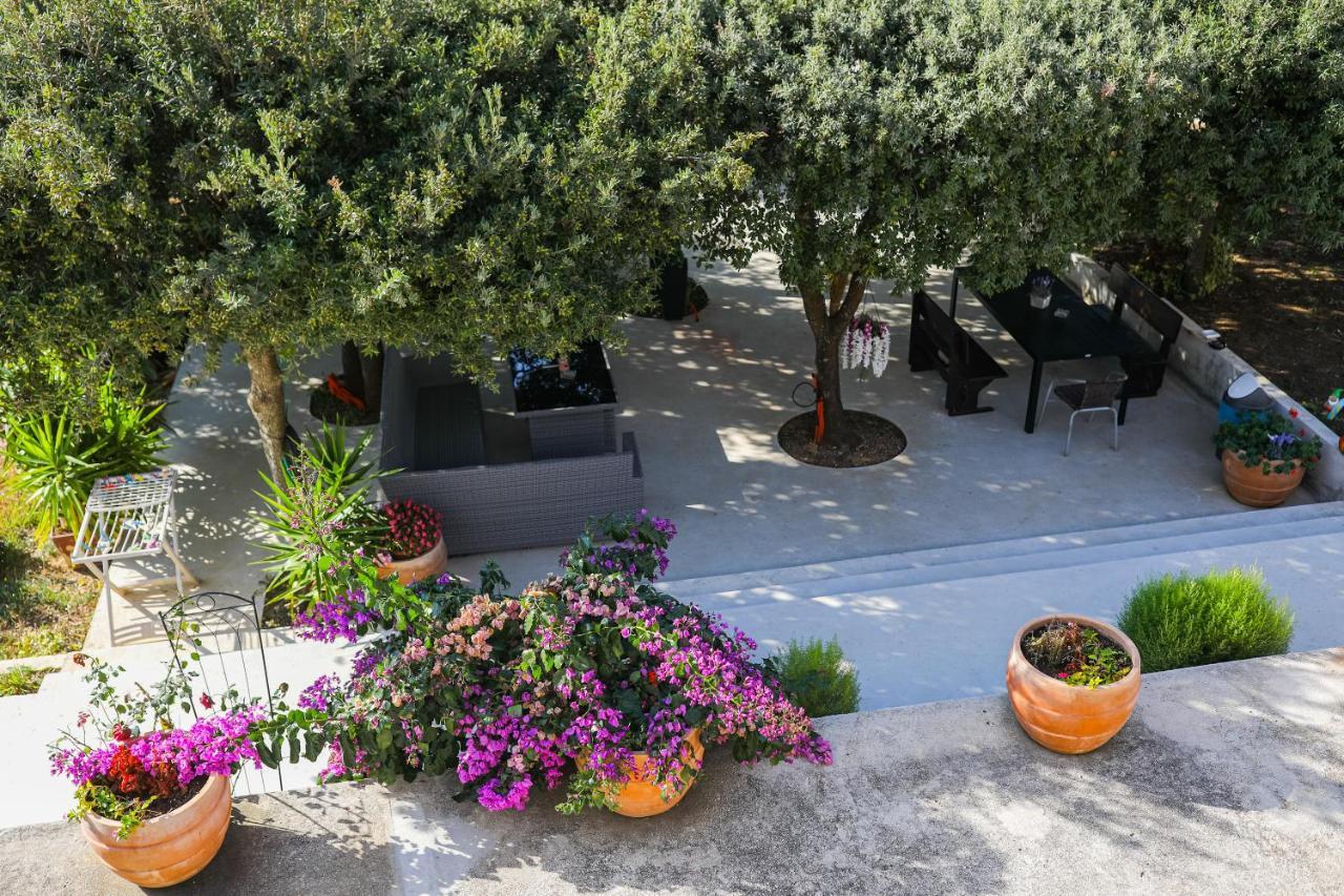 Apartment Zvjezdana Petrcane